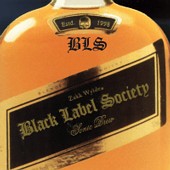 zakkwylde.jpg (11245 bytes)